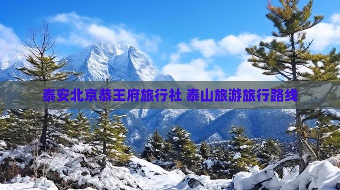 泰安去北京恭王府旅行社