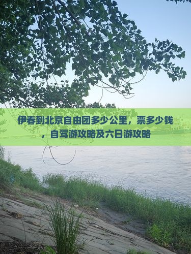 伊春到北京自由团