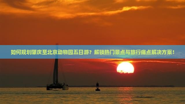 如何规划肇庆至北京动物园五日游？解锁热门景点与旅行痛点解决方案！