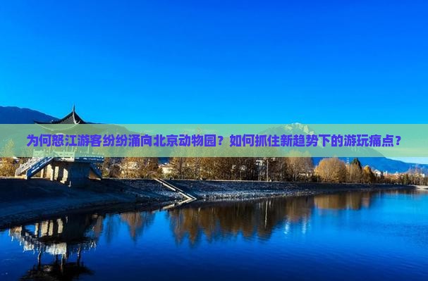 为何怒江游客纷纷涌向北京动物园？如何抓住新趋势下的游玩痛点？
