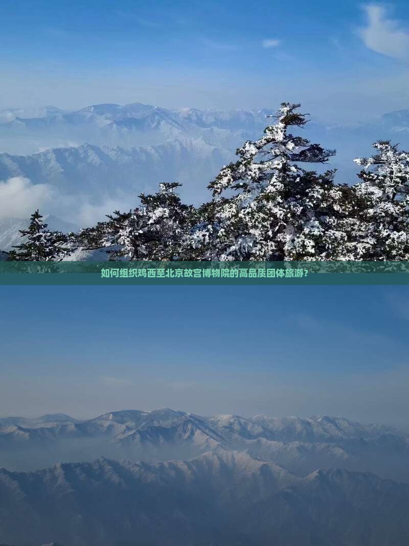 如何组织鸡西至北京故宫博物院的高品质团体旅游？