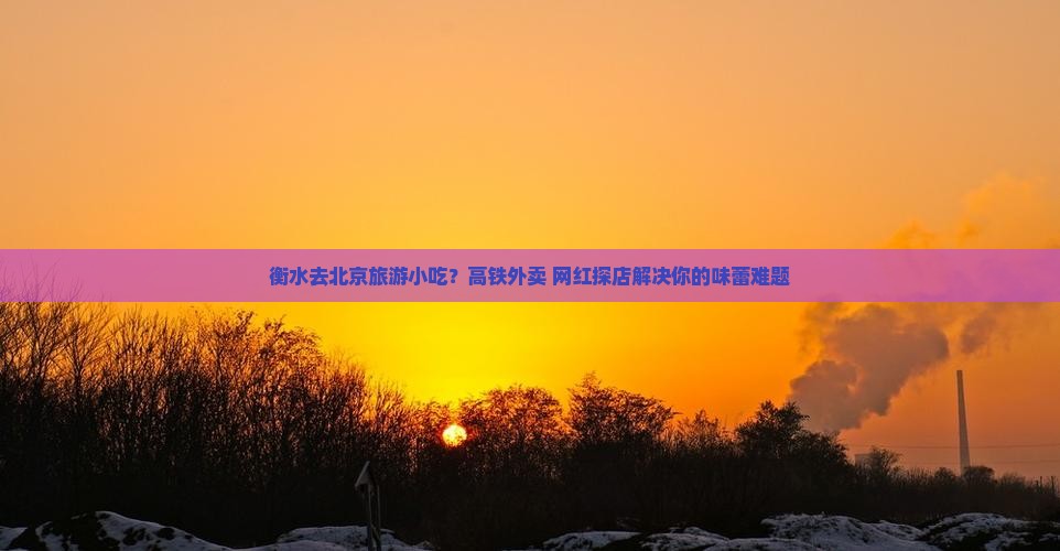 衡水去北京旅游小吃？高铁外卖+网红探店解决你的味蕾难题
