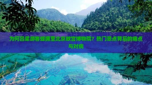 为何吕梁游客蜂拥至北京故宫博物院？热门景点背后的痛点与对病