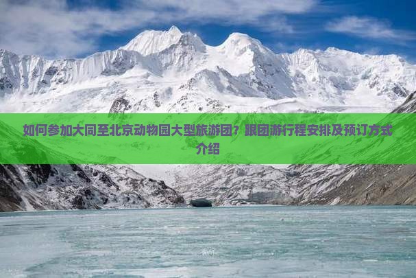 如何参加大同至北京动物园大型旅游团？跟团游行程安排及预订方式介绍