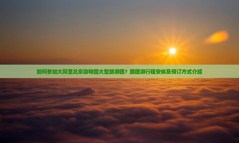 如何参加大同至北京动物园大型旅游团？跟团游行程安排及预订方式介绍