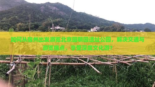 如何从宿州出发游览北京圆明园遗址公园，解决交通与游览痛点，享受深度文化游？