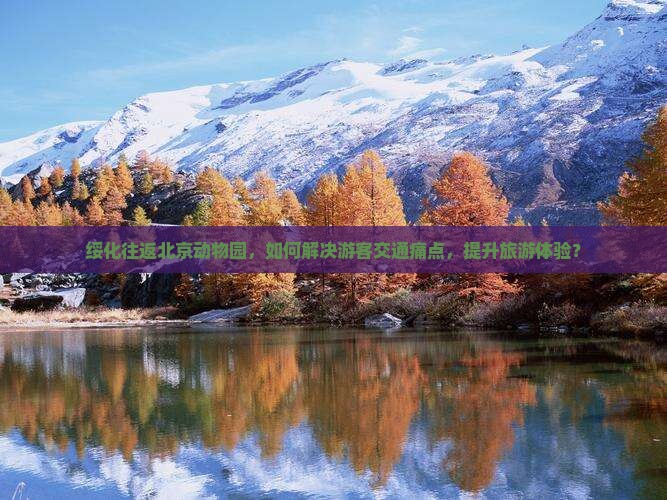 绥化往返北京动物园，如何解决游客交通痛点，提升旅游体验？