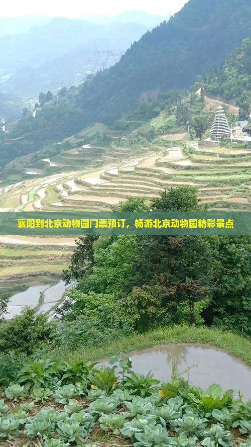襄阳到北京动物园门票预订，畅游北京动物园精彩景点