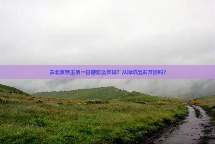 去北京恭王府一日游怎么安排？从廊坊出发方便吗？