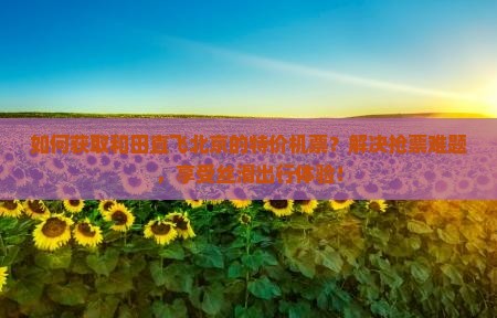 如何获取和田直飞北京的特价机票？解决抢票难题，享受丝滑出行体验！