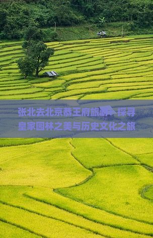 张北去北京恭王府旅游：探寻皇家园林之美与历史文化之旅