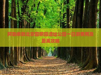 阿勒泰到北京圆明园遗址公园一日游费用及距离攻略