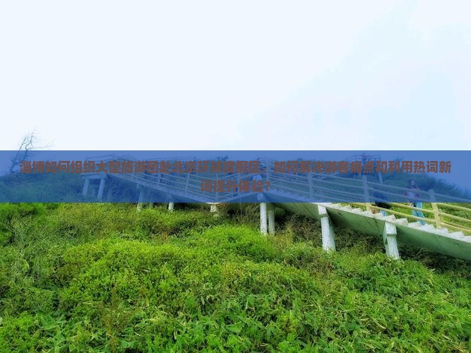 淄博如何组织大型旅游团赴北京环球度假区，如何解决游客痛点和利用热词新词提升体验？
