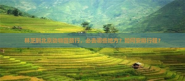 林芝到北京动物园旅行，必去哪些地方？如何安排行程？