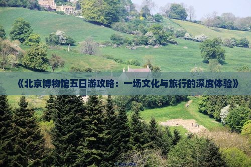 《北京博物馆五日游攻略：一场文化与旅行的深度体验》