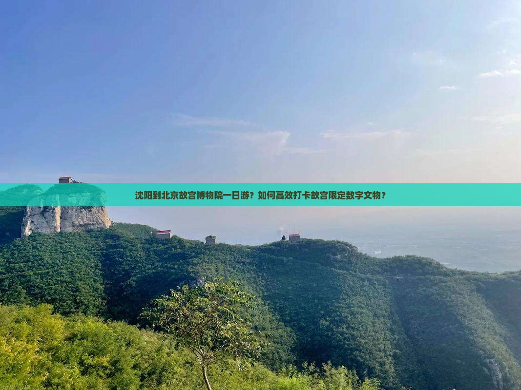 沈阳到北京故宫博物院一日游？如何高效打卡故宫限定数字文物？
