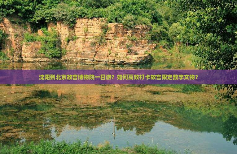 沈阳到北京故宫博物院一日游？如何高效打卡故宫限定数字文物？