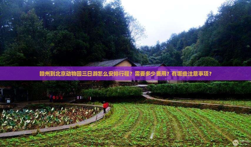 赣州到北京动物园三日游怎么安排行程？需要多少费用？有哪些注意事项？