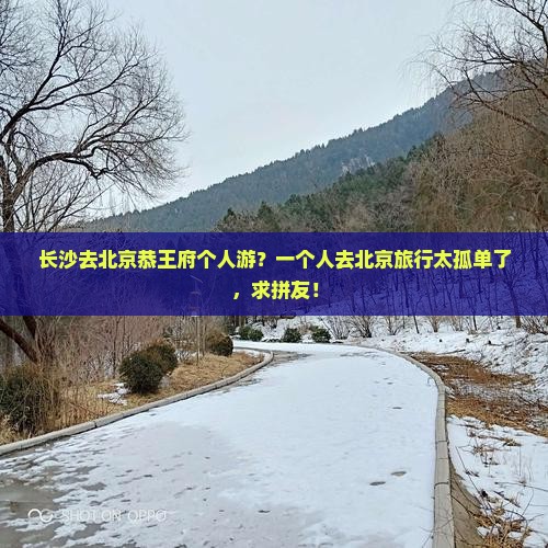 长沙去北京恭王府个人游？一个人去北京旅行太孤单了，求拼友！