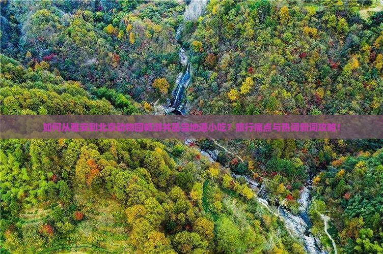 如何从雅安到北京动物园畅游并品尝地道小吃？旅行痛点与热词新词攻略！