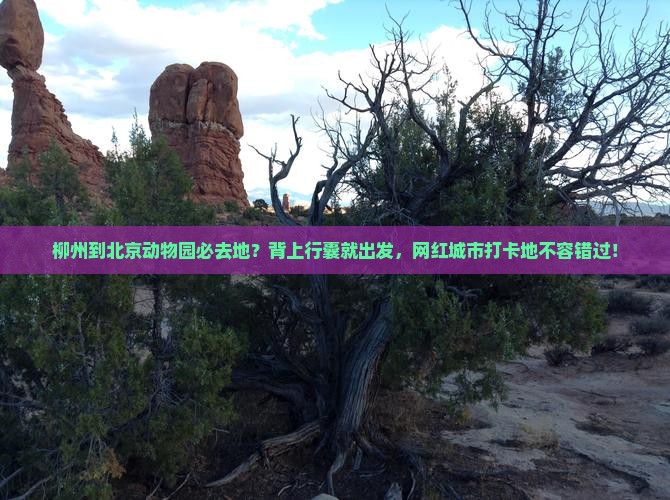 柳州到北京动物园必去地？背上行囊就出发，网红城市打卡地不容错过！