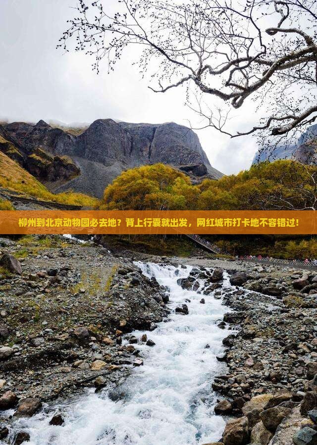 柳州到北京动物园必去地？背上行囊就出发，网红城市打卡地不容错过！