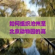 如何组织沧州至北京动物园的高品质团体旅游，解决游客痛点，融入新潮热词体验？