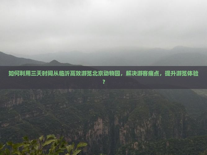 如何利用三天时间从临沂高效游览北京动物园，解决游客痛点，提升游览体验？