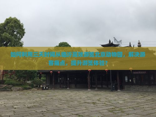 如何利用三天时间从临沂高效游览北京动物园，解决游客痛点，提升游览体验？