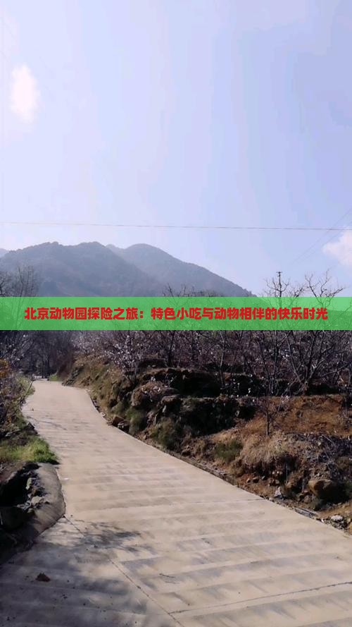 北京动物园探险之旅：特色小吃与动物相伴的快乐时光