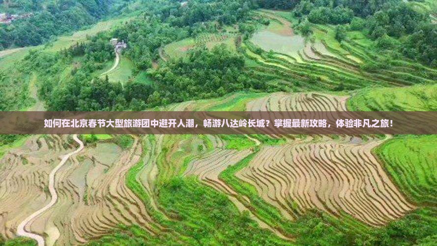 如何在北京春节大型旅游团中避开人潮，畅游八达岭长城？掌握最新攻略，体验非凡之旅！