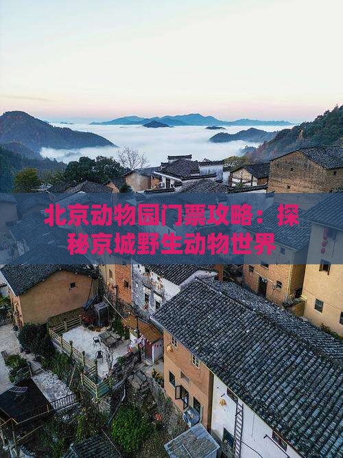 北京动物园门票攻略：探秘京城野生动物世界