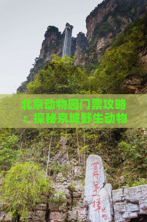 北京动物园门票攻略：探秘京城野生动物世界