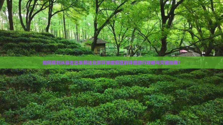 如何规划从崇左出发前往北京环球度假区的详细旅行攻略与交通指南？