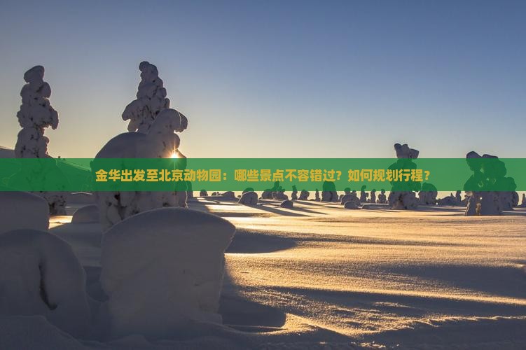 金华出发至北京动物园：哪些景点不容错过？如何规划行程？
