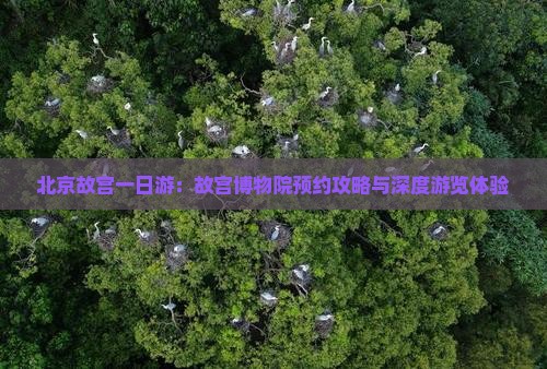 北京故宫一日游：故宫博物院预约攻略与深度游览体验