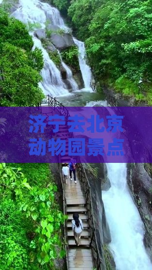 济宁去北京动物园景点详细路线及怎么走