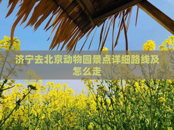 济宁去北京动物园景点详细路线及怎么走