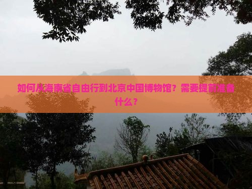 如何从海南省自由行到北京中国博物馆？需要提前准备什么？