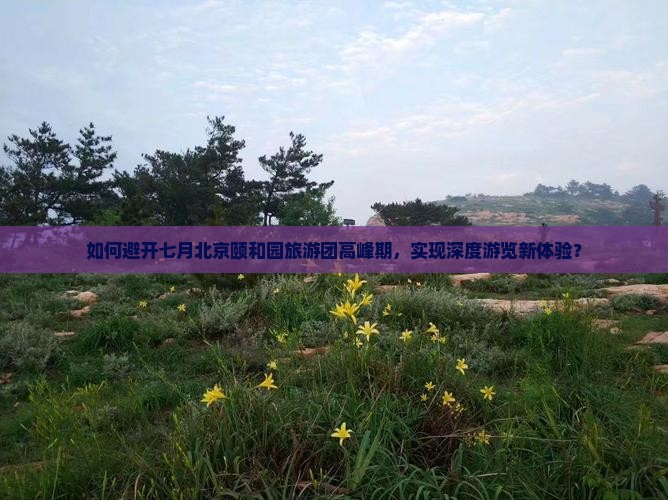 如何避开七月北京颐和园旅游团高峰期，实现深度游览新体验？