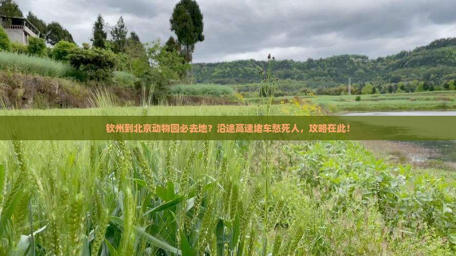 钦州到北京动物园必去地？沿途高速堵车愁死人，攻略在此！
