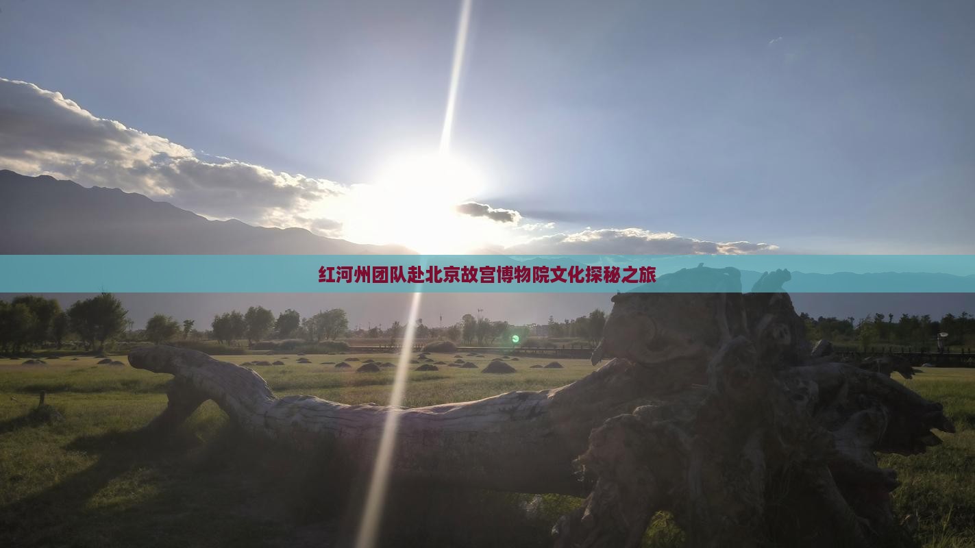 红河州团队赴北京故宫博物院文化探秘之旅