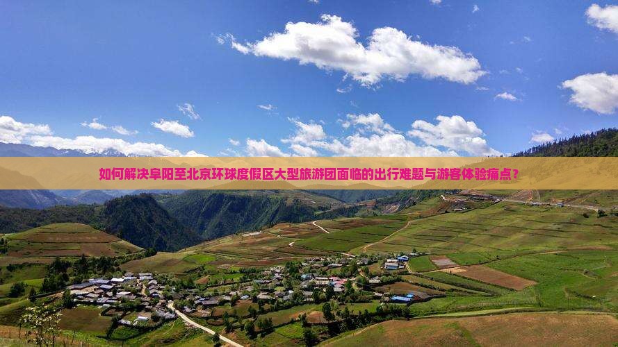如何解决阜阳至北京环球度假区大型旅游团面临的出行难题与游客体验痛点？