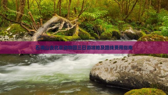 石嘴山去北京动物园三日游攻略及路线费用指南