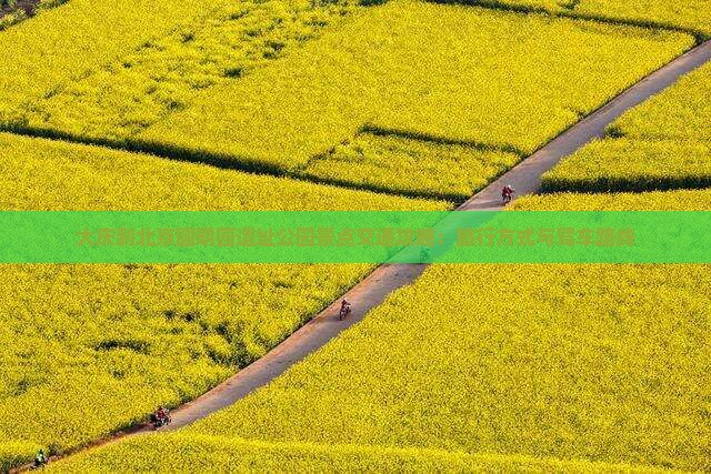 大庆到北京圆明园遗址公园景点交通攻略：旅行方式与驾车路线