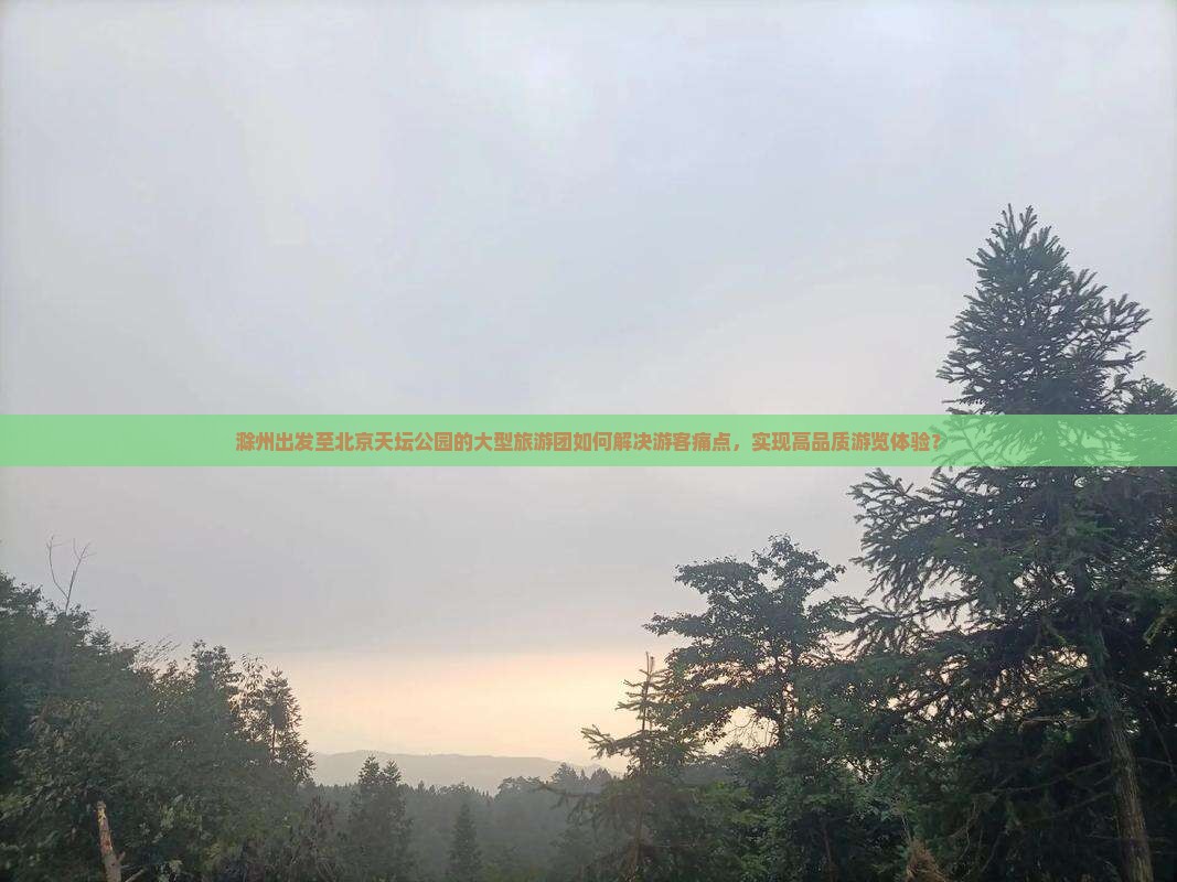 滁州出发至北京天坛公园的大型旅游团如何解决游客痛点，实现高品质游览体验？