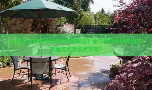 从丽江出发如何到达北京动物园？丽江至北京动物园的交通方式及景点攻略？