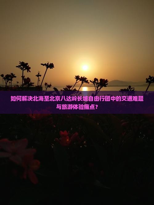 如何解决北海至北京八达岭长城自由行团中的交通难题与旅游体验痛点？
