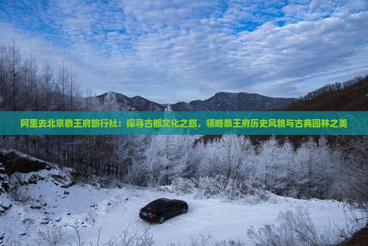 阿里去北京恭王府旅行社：探寻古都文化之旅，领略恭王府历史风貌与古典园林之美