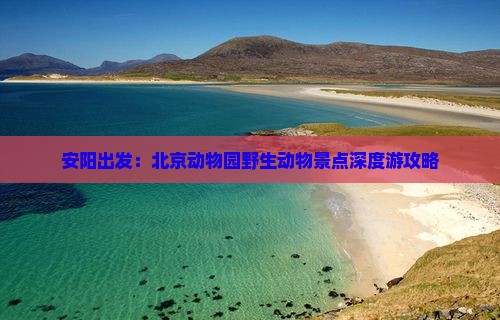 安阳出发：北京动物园野生动物景点深度游攻略